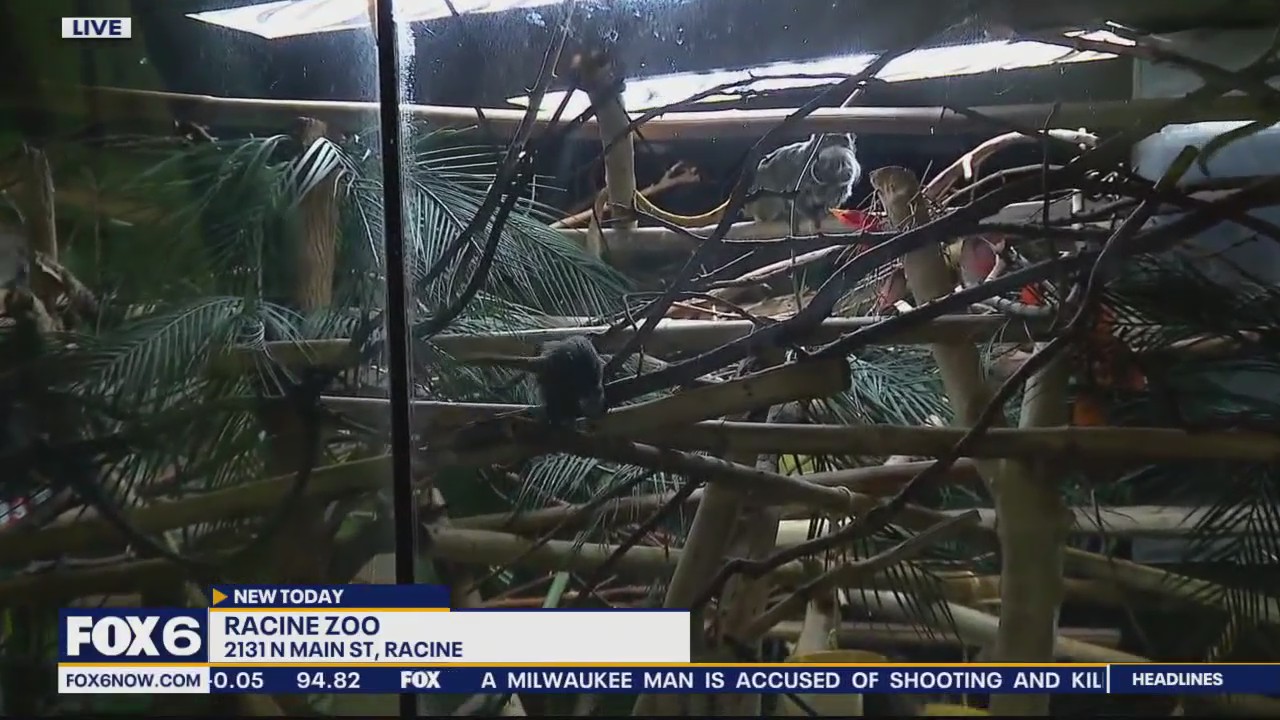 One last visit to Racine Zoo