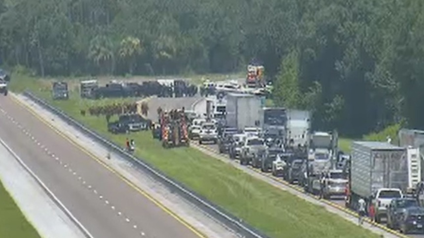 Some 70 cows let loose on Florida Turnpike following truck fire | FOX ...