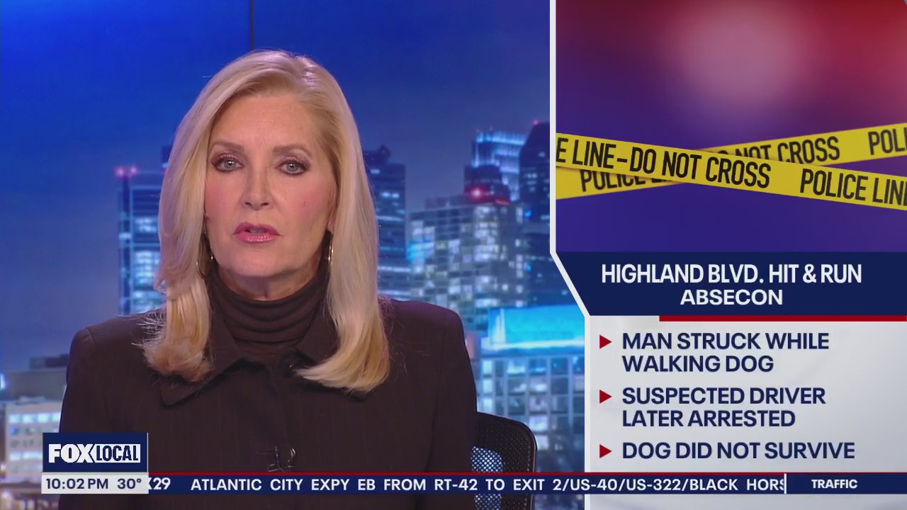 Dog killed, man critically injured in hit-and-run