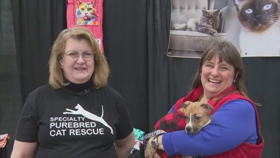 Pet Expo MKE 2025