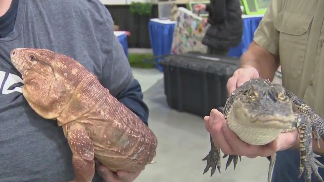 Showcasing animals at Pet Expo MKE