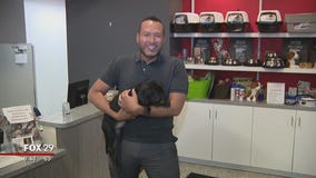 Dogs, cats search for furever homes at Brandywine Valley SPCA