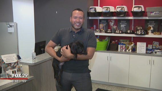 Dogs, cats search for furever homes at Brandywine Valley SPCA