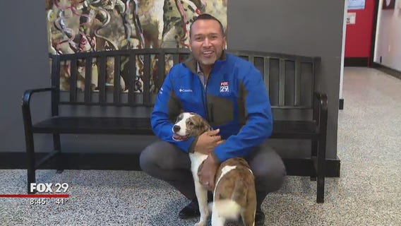 Furry friends seek furever homes at Brandywine Valley SPCA