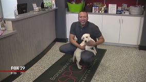 Furry friends seek furever homes at Brandywine Valley SPCA