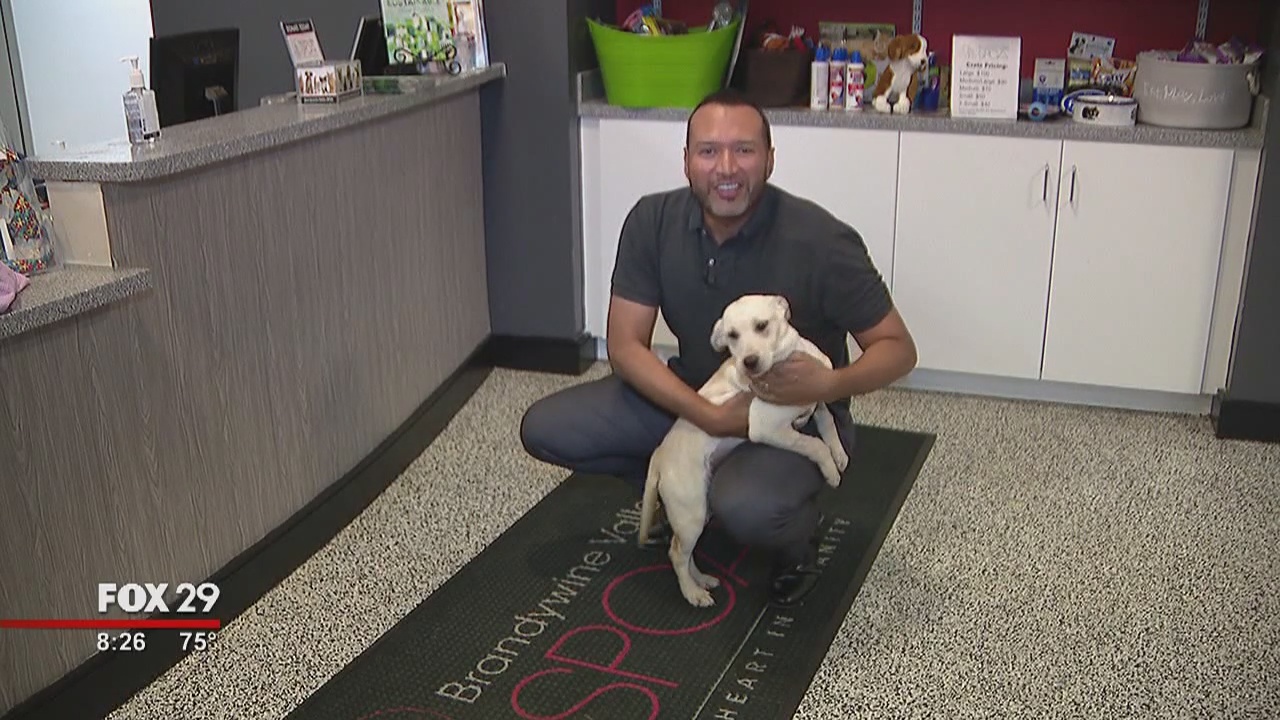 Furry friends seek furever homes at Brandywine Valley SPCA