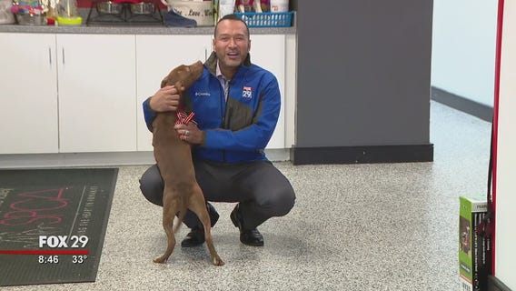 Cats, dogs seek furever homes at Brandywine Valley SPCA