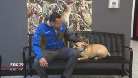 Furry friends seek furever homes at Brandywine Valley SPCA