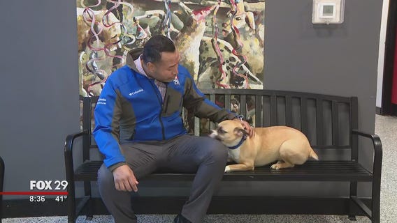 Furry friends seek furever homes at Brandywine Valley SPCA