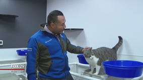 Furry friends seek furever homes at Brandywine Valley SPCA