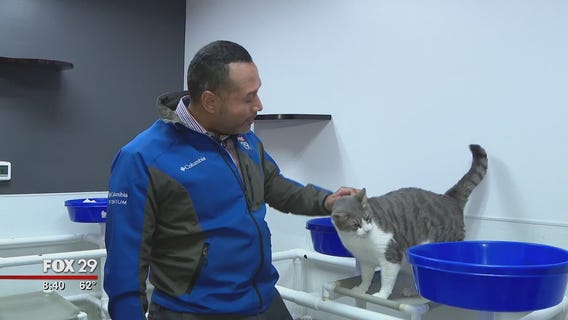 Furry friends seek furever homes at Brandywine Valley SPCA