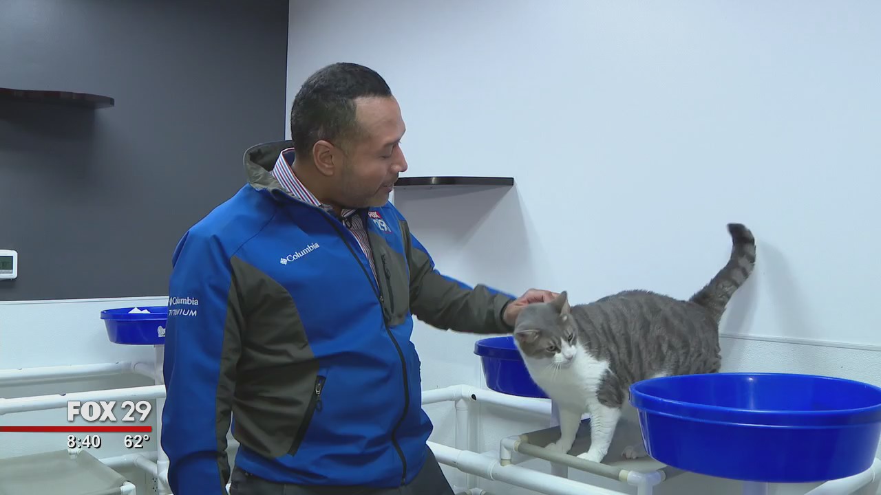 Furry friends seek furever homes at Brandywine Valley SPCA