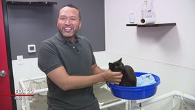 Furry friends seeking furever homes at Brandywine Valley SPCA