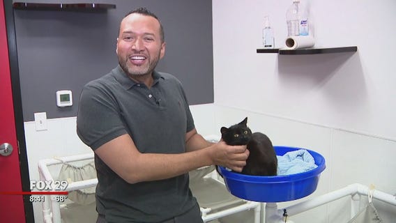 Furry friends seeking furever homes at Brandywine Valley SPCA