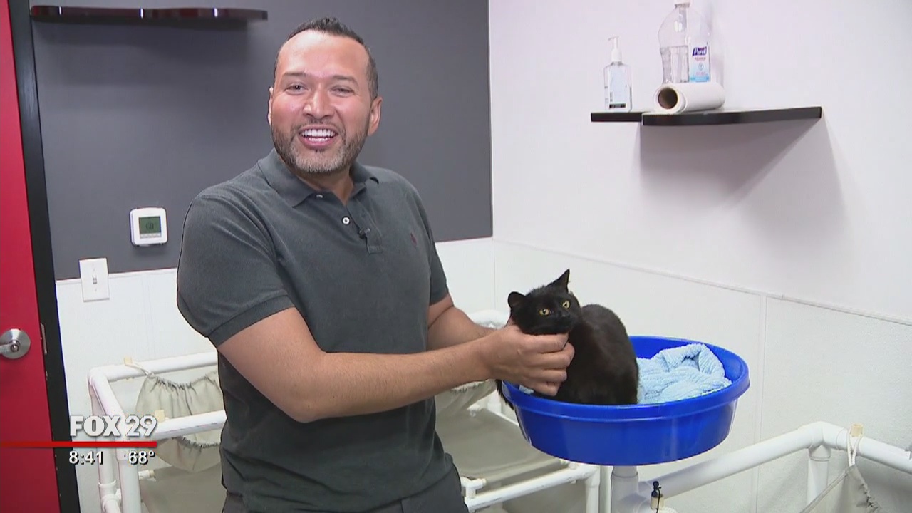 Furry friends seeking furever homes at Brandywine Valley SPCA