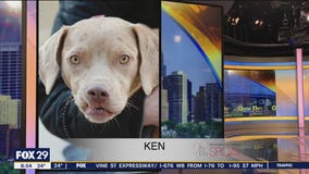 FurEver Home: Feb. 20, 2022