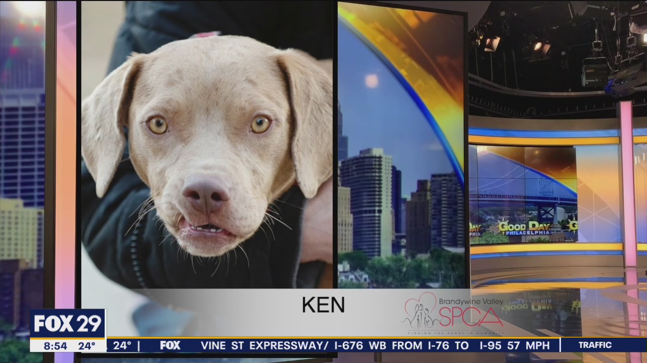 FurEver Home: Feb. 20, 2022