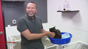 Furry friends seek furever homes at Brandywine Valley SPCA