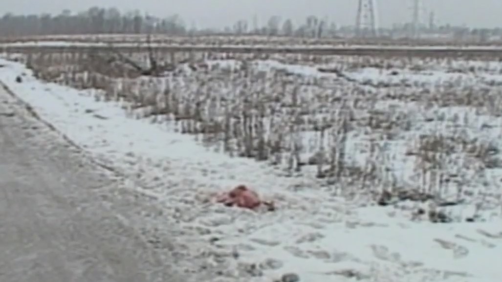 Franklin cold case heats up with new technology