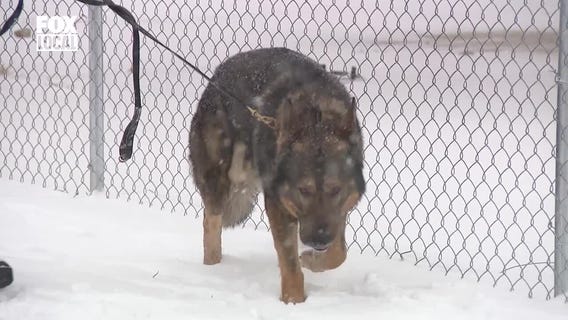 FOX6 Daily News Update (Feb. 12)