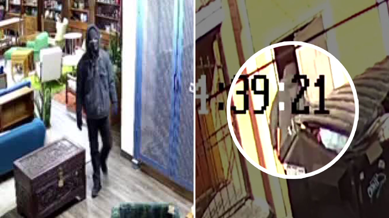 Neighboring small businesses burglarized