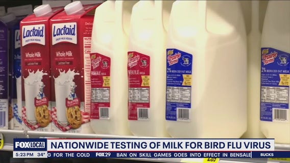Testing milk nationwide for bird flu