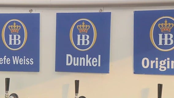 Hofbrau beer highlight