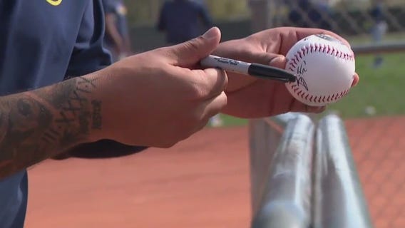 Autograph seekers are baseball diehards