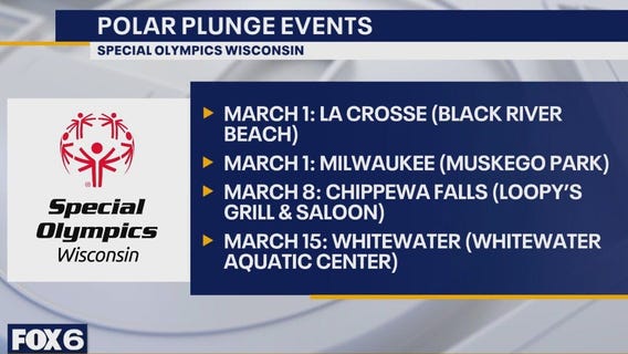 Milwaukee Polar Plunge