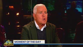 Moment of the Day: Cow Impressions