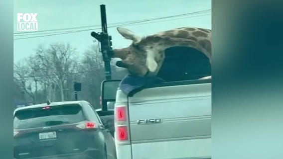 FOX6 Daily News Update (March 5)