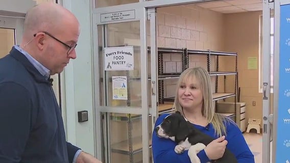 Donate to the Furry Friends Food Pantry