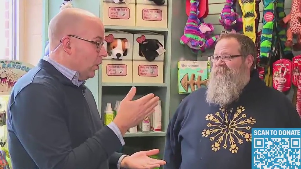 Getting the best toys for your pet