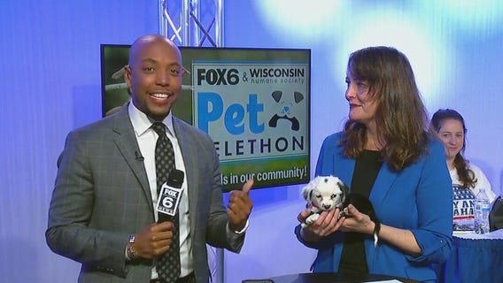 FOX6 WHS Pet Telethon: donate today