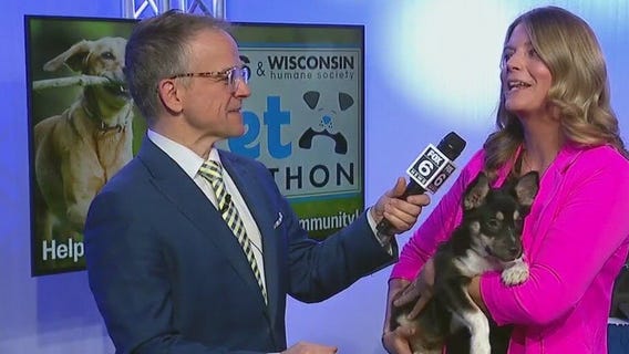 Crisis in animal welfare