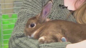 Animal education at the WI Humane Society