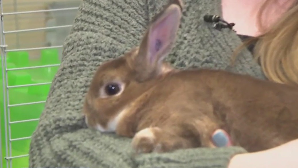 Animal education at the WI Humane Society