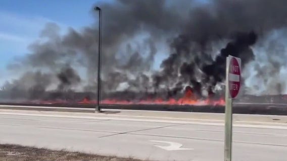 Brookfield brush fire; assessing the damage