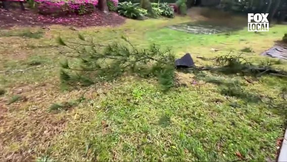 FOX6 Noticias: Actualizaci?n Diaria (March 11)