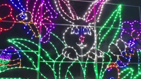 Lights of Spring in Pewaukee