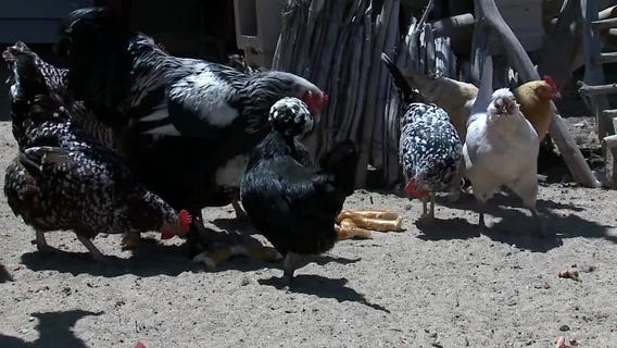 FOX6 Noticias: Actualizaci?n Diaria (March 20)