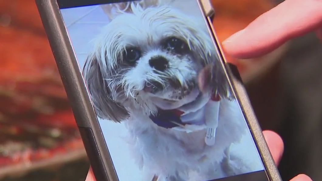 Beloved dog attacked at Milwaukee bar