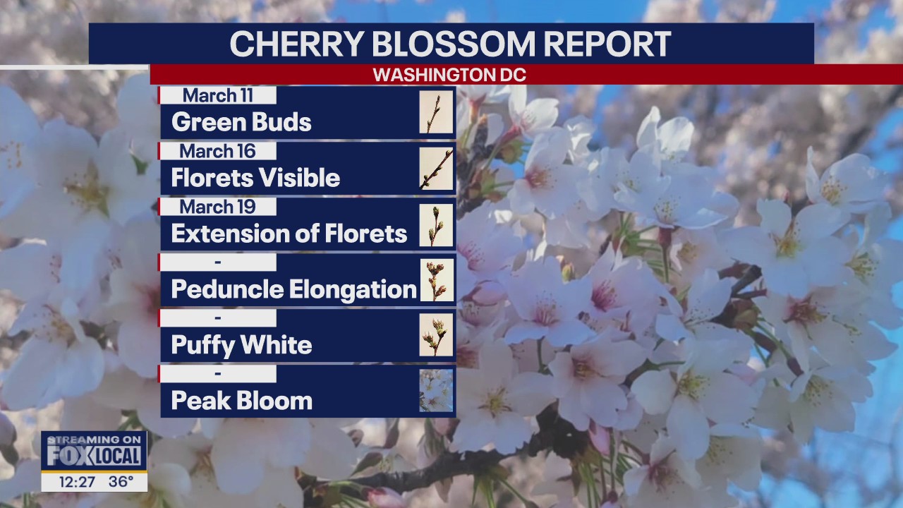 Wisconsin Weather Experts (March 20)