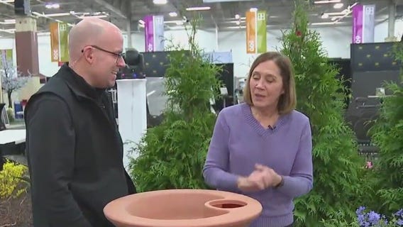 Tips on how to manage your garden