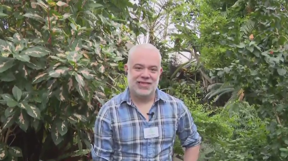 Art in the Green at the Mitchell Park Domes