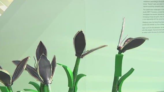 Art in Bloom at Milwaukee Art Museum