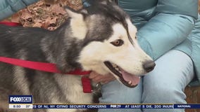 Rescue Me: Meet Universe