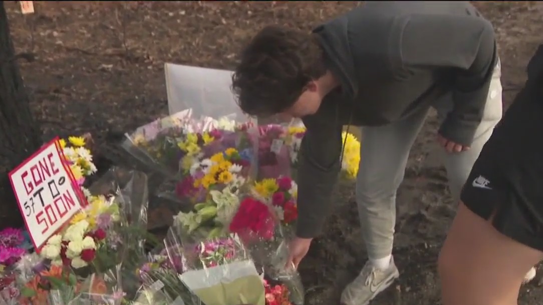 Teen remembered after Menomonee Falls fatal crash