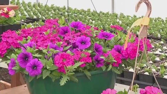 Bring beauty to your home