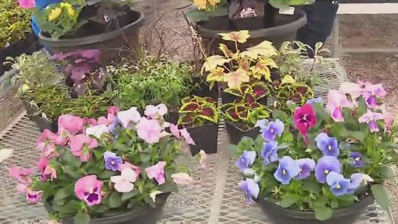 Workshop that celebrates sunshine, soil